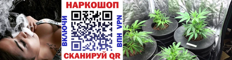 Наркошоп Благодарный Конопля  Меф мяу мяу  COCAIN  Гашиш 