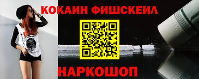 спиды Гай