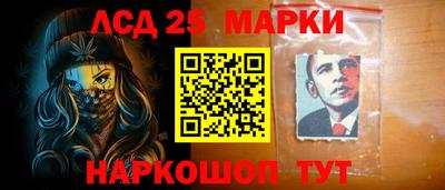 спиды Гай