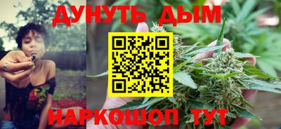 спиды Гай