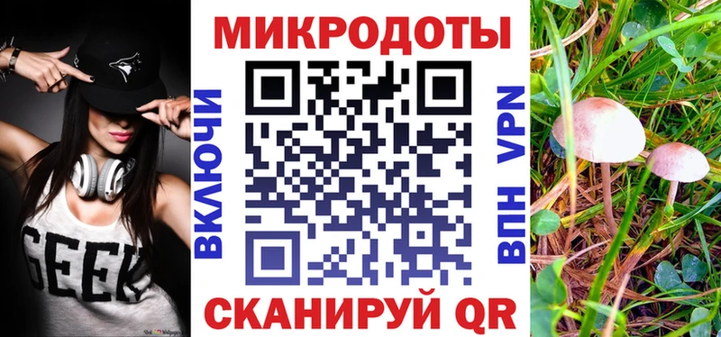 цена   Благодарный  площадка какой сайт  Галлюциногенные грибы GOLDEN TEACHER 