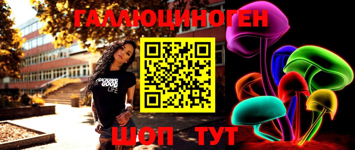 Псилоцибиновые грибы Psilocybe Благодарный