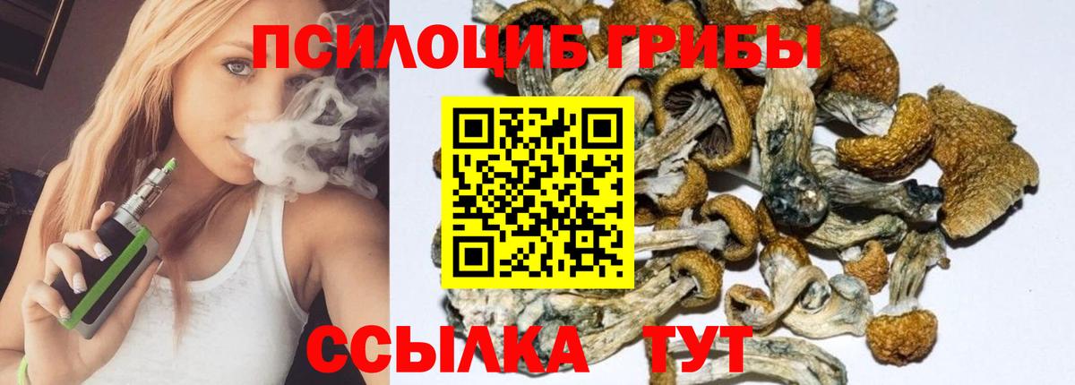 Благодарный  Галлюциногенные грибы Psilocybine cubensis  Вход с VPN  Галлюциногенные грибы мухоморы 