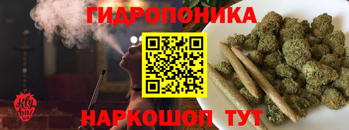 МАРИХУАНА Amnesia  Каннабис планчик  Вход с VPN  Шишки марихуана сатива  Благодарный 